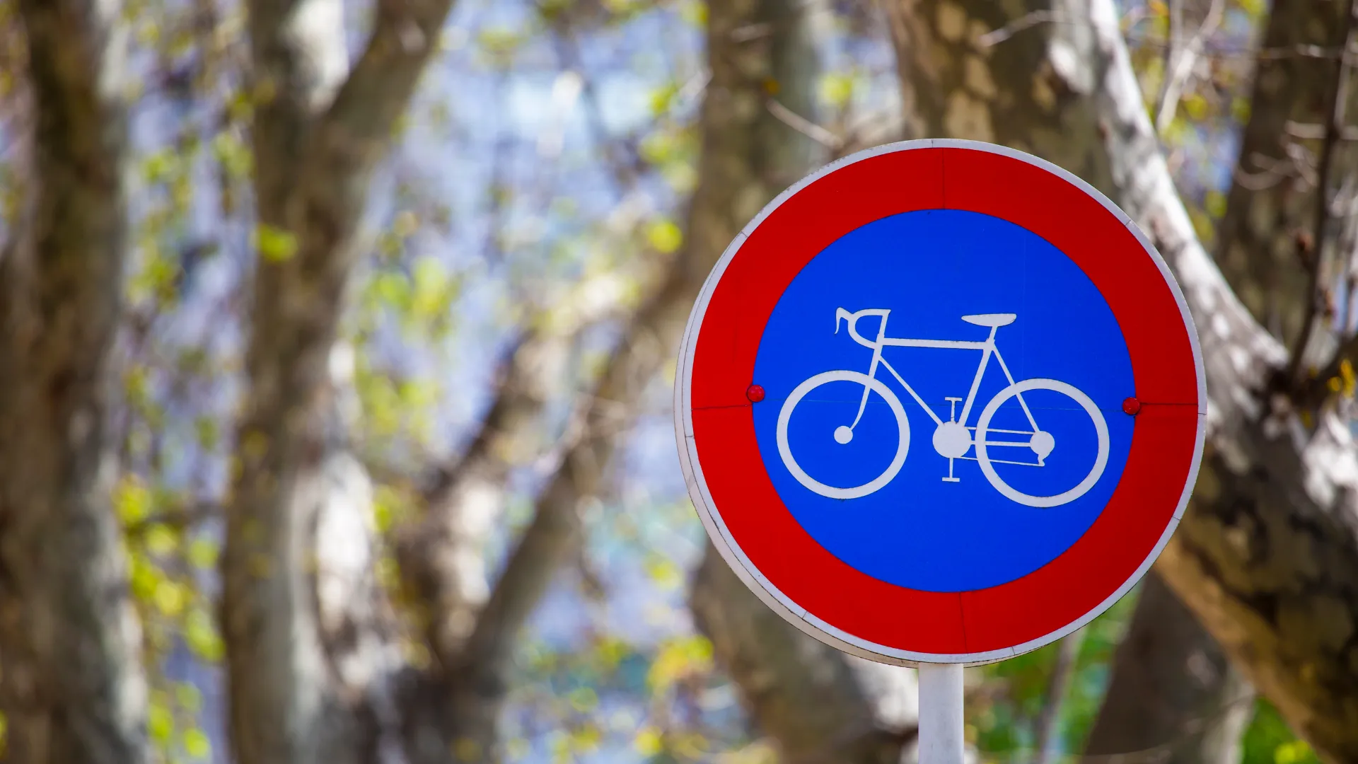 도로 위의 자전거 운행 관련 규정